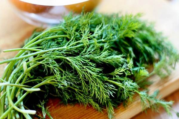 Wild Fernleaf  (Anithos)  Dill Olive Oil